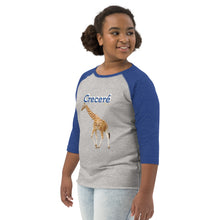 Cargar imagen en el visor de la galería, Youth baseball shirt
